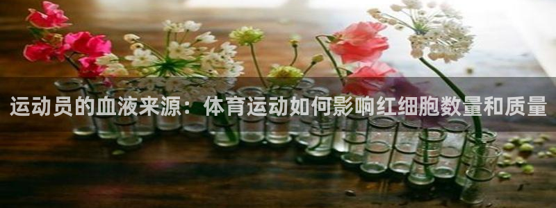 V站体育入口官网：运动员的血液来源：体育运动如何影响红细胞数量和质量