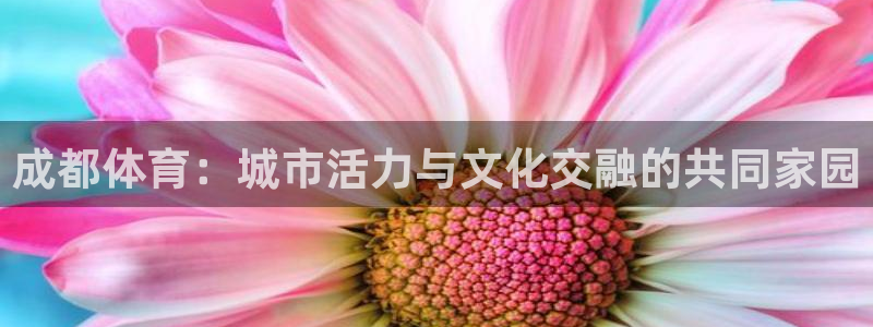 v站体育：成都体育：城市活力与文化交融的共同家园