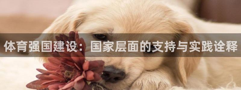 v站体育比分：体育强国建设：国家层面的支持与实践诠释