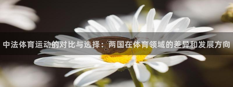 V站体育入口官网：中法体育运动的对比与选择：两国在体育领域的差异和发展方向