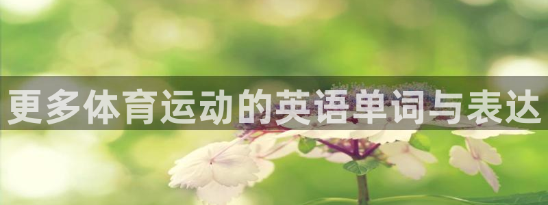 V站体育App下载：更多体育运动的英语单词与表达