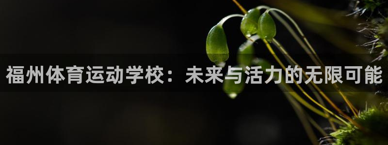 v站体育app：福州体育运动学校：未来与活力的无限可能