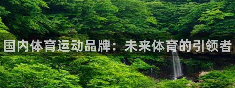 v站体育官网app下载：国内体育运动品牌：未来体育的引领者