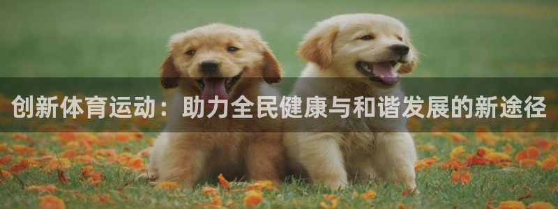 v站体育app官方下载：创新体育运动：助力全民健康与和谐发展的新途径