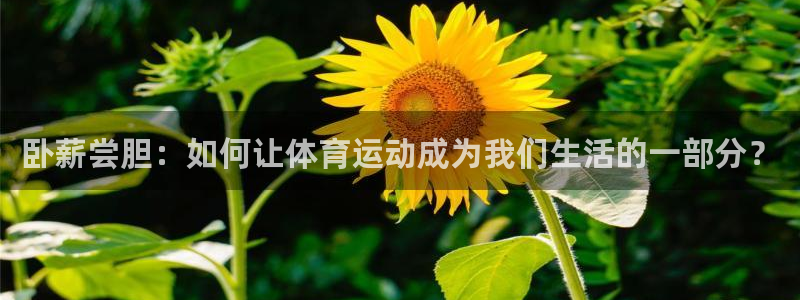 v站体育app下载安卓：卧薪尝胆：如何让体育运动成为我们生活的一部分？