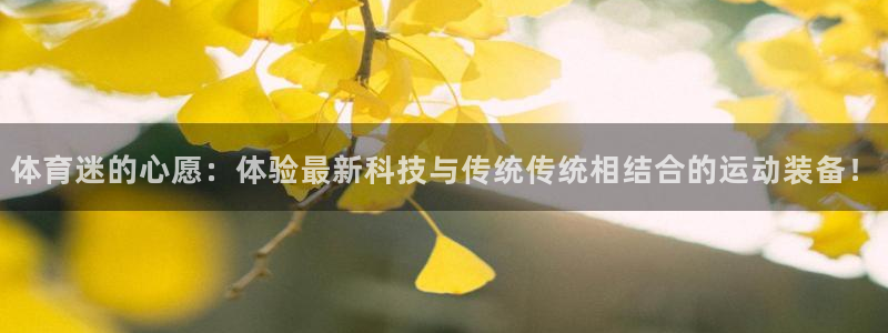 v站体育破解：体育迷的心愿：体验最新科技与传统传统相结合的运动装备！